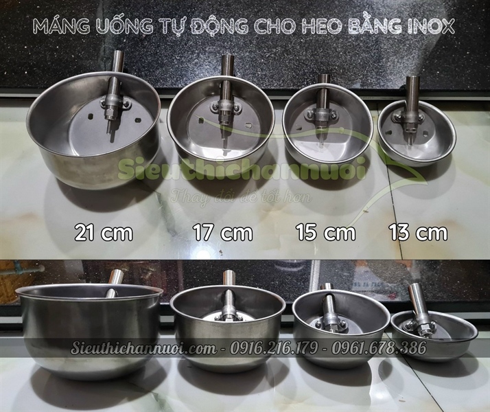Máng uống tự động cho heo bằng inox có vồi