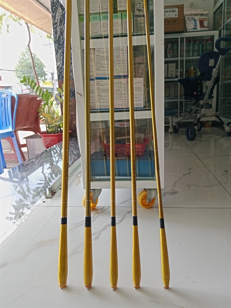 Cần thục ánh kim 3h 2m7