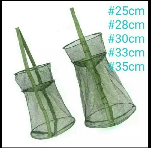 Gọng cá 2 vành xanh 25cm