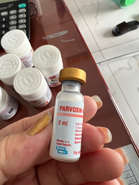 Ngừa khô thai Parvo (1L) tim trước khi phối 2-6 tuần