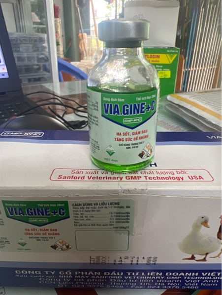 VIA-GINE+C 20ml