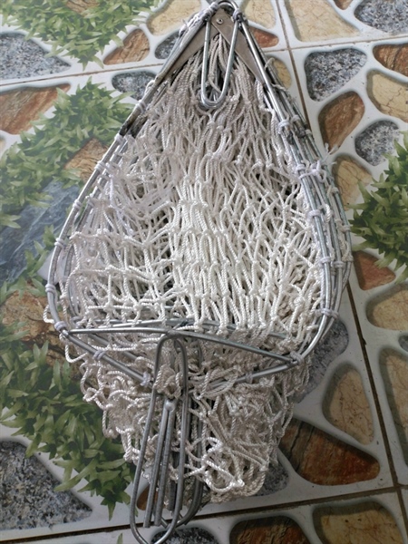 vợt xoài lớn