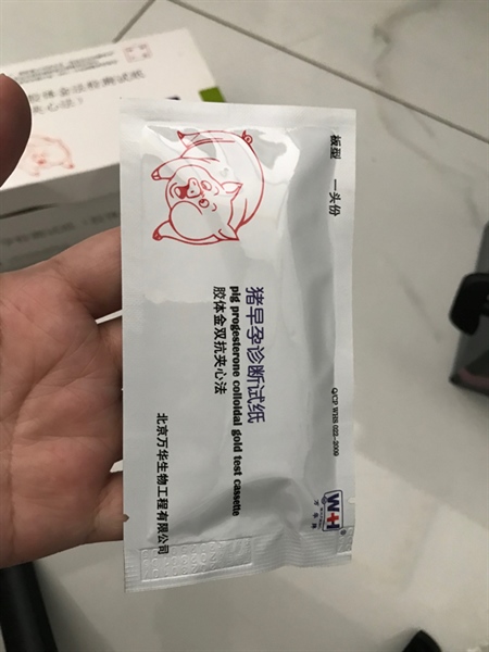 Que thử thai Heo, Bò ( thử nước tiểu buổi sáng)