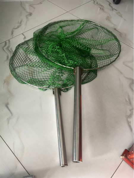 Vợt cá INOX tròng 5T lưới chỉ xanh 2p5