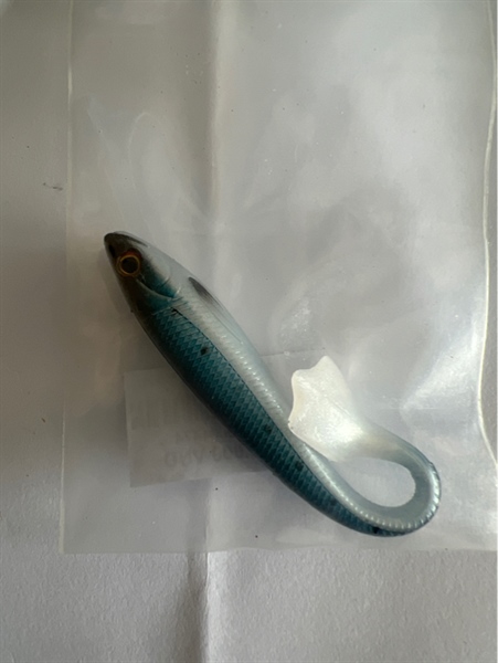 Cá mềm seasky 1 con