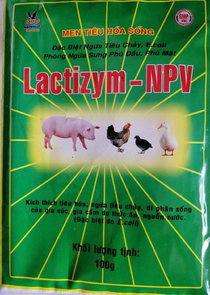 NPV-LACTIZYM TỎI 50g