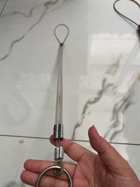 Cây đở đẻ heo con