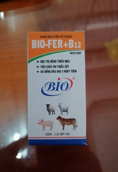 BIO-FER+B12 20ml