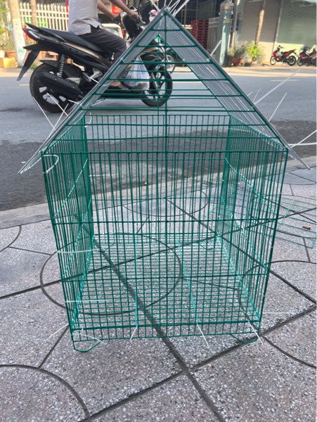 Lồng mái nhà lớn
