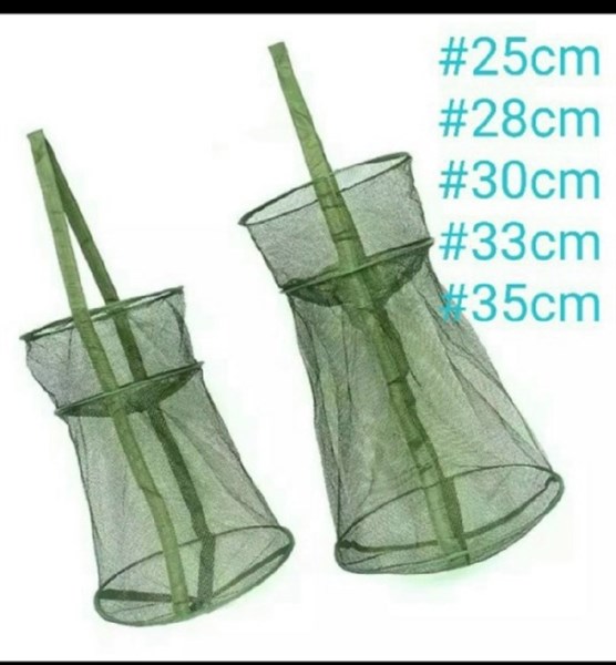 Gọng cá 2 vành xanh 30cm