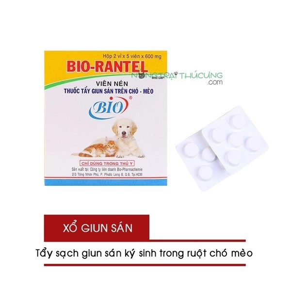 TẨY GIUN SÁN BIO-RANTEL CHO CHÓ MÈO XỔ GIUN CHÓ MÈO ( viên cho 4kg)