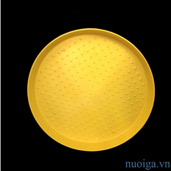 Mâm gà con 40cm