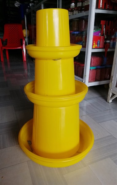 Lẫu vàng móc tốt (16-30cm) 4kg