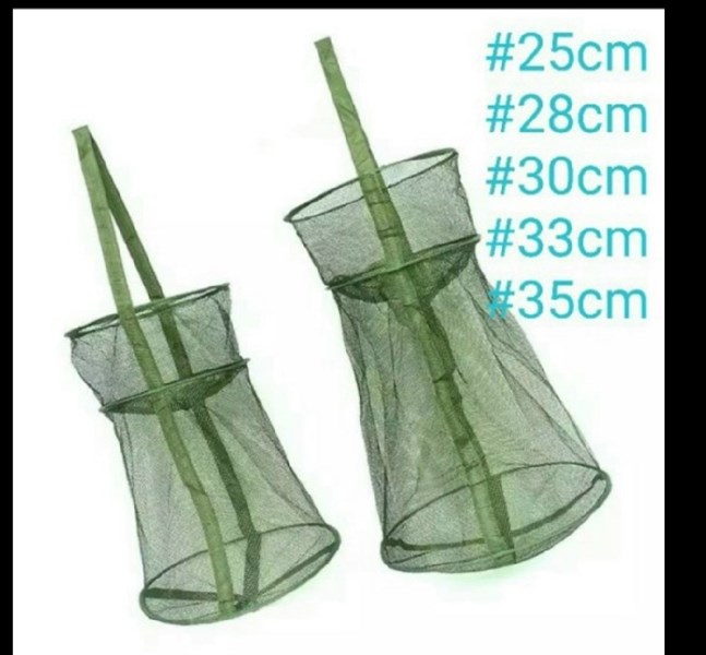 Gọng cá 2 vành xanh 40cm