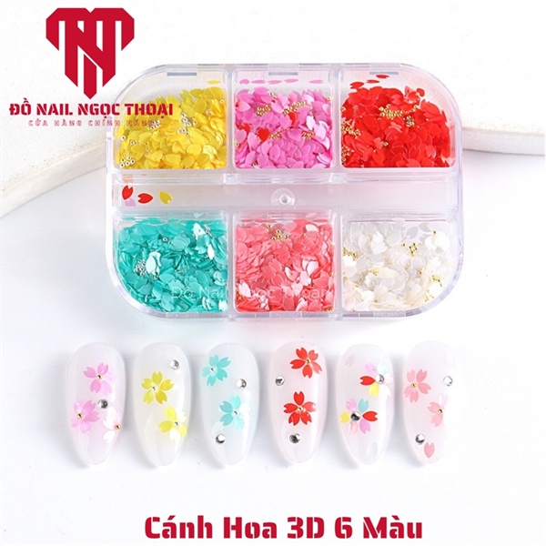 Cánh Hoa 3D - 6 Màu