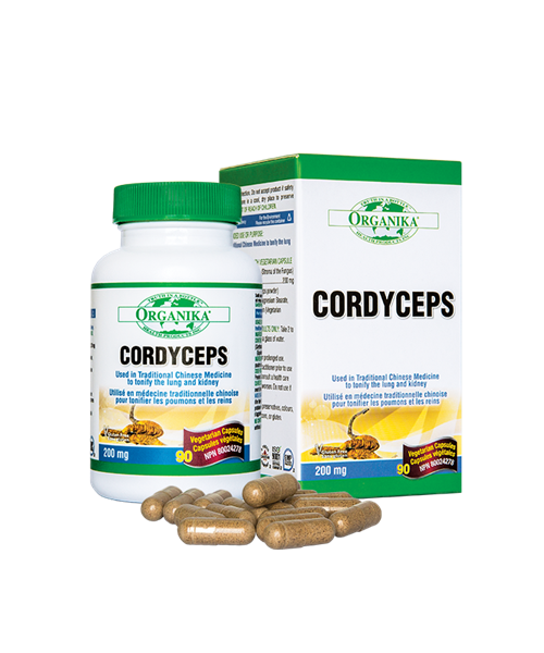 Organika Cordyceps chai 90v KAT