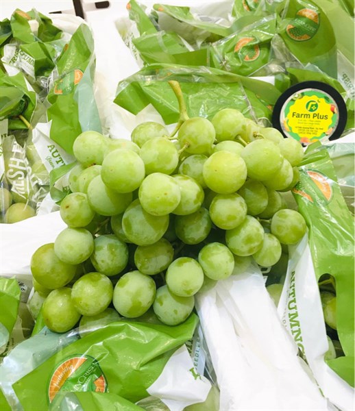 Nho Xanh Autumn Crisp Sweet Úc