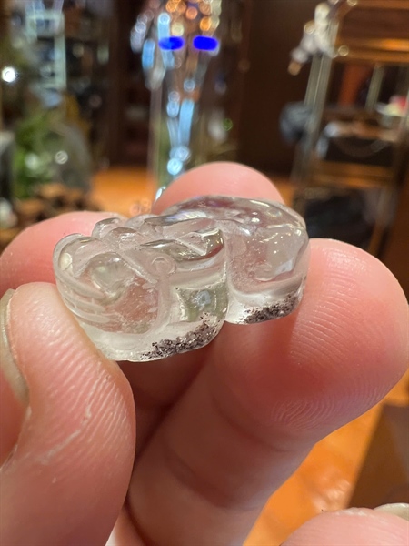 Cụ tỳ hưu trắng trong +