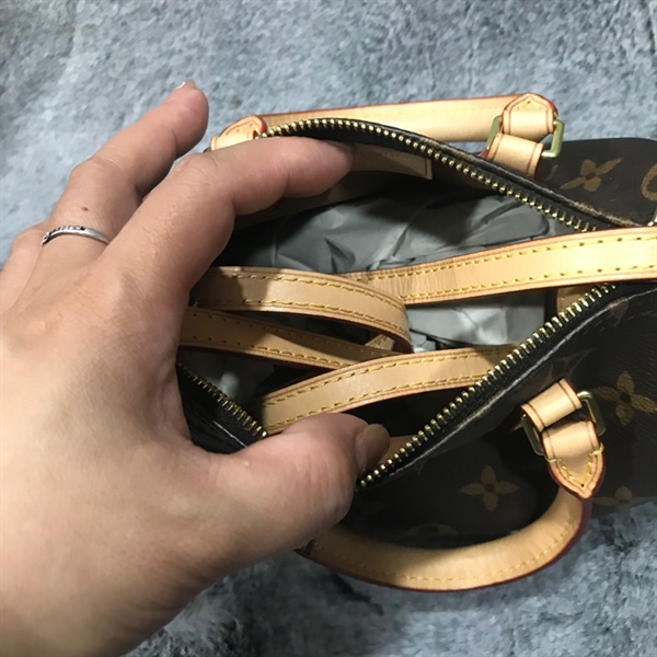 Túi speedy nano LV hoa nâu +