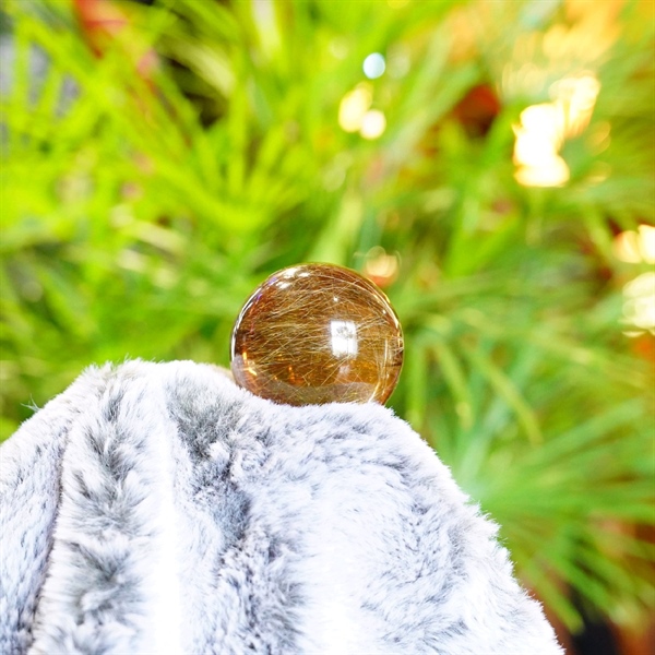 Bi cầu TV Vip (s6) +