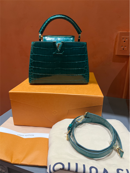 Túi LV Capu da trăn xanh đậm +