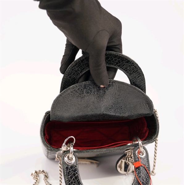 Túi Dior Lady hình thiên nga vân da đen +