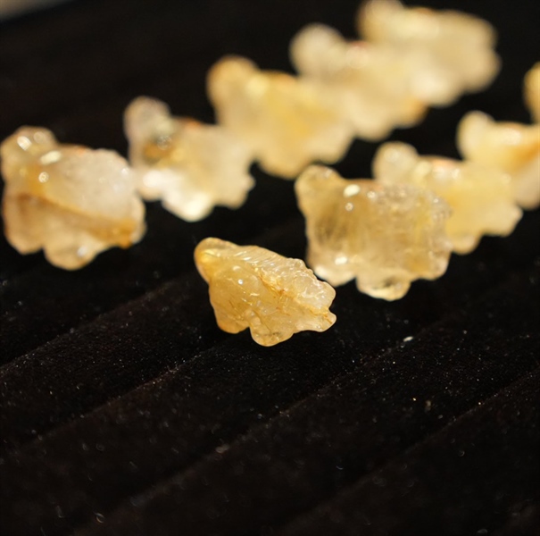 Cụ Long Quy thạch anh tóc vàng +