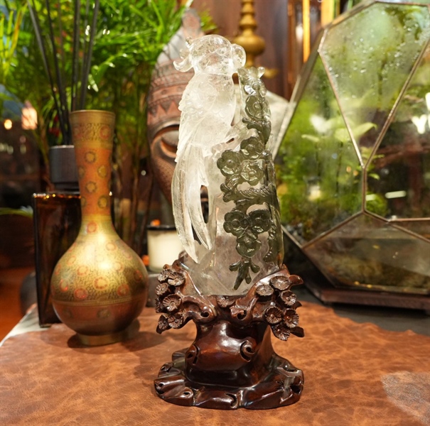 Tác phẩm vẹt ưu linh xanh 843492 +