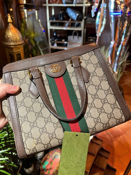 Túi GG nâu hoa tiết logo phối dây màu size 22 TB+