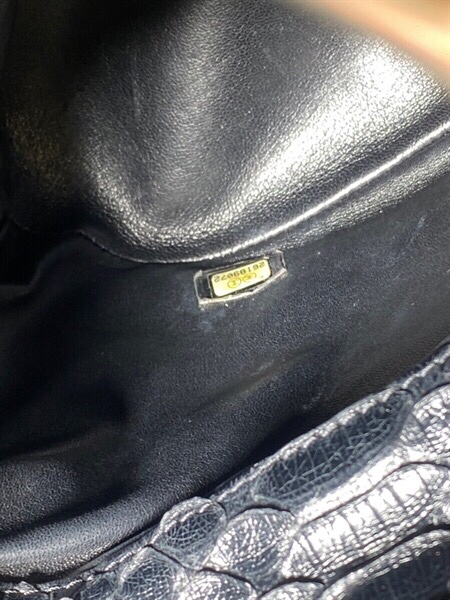 Túi Chanel da rắn KG+