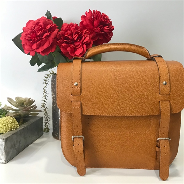 Túi LV đeo chéo +