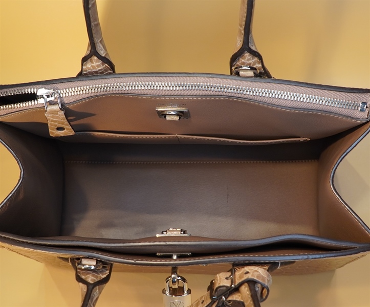 Túi LV Da Rắn Khoang+