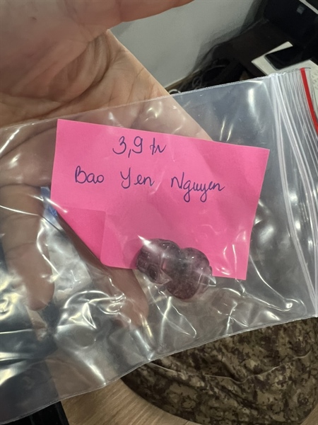 Cụ tỳ hưu tím trong +