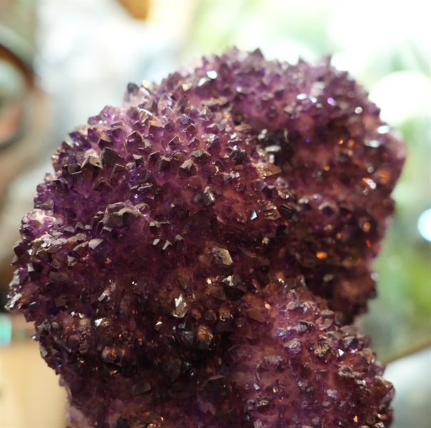 Hốc thạch anh tím to (s37) +