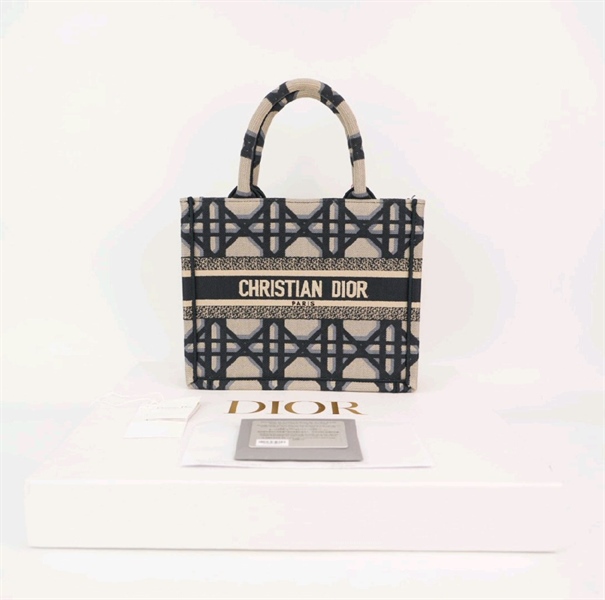 Túi Dior tote xám xanh KG+