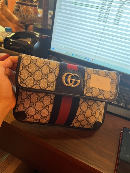 Túi GG phối dây màu TB+