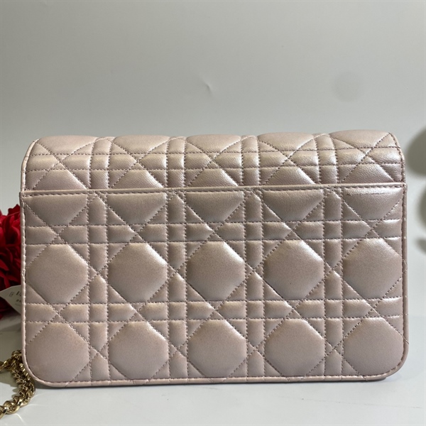 Túi Dior Hồng phấn KG +5