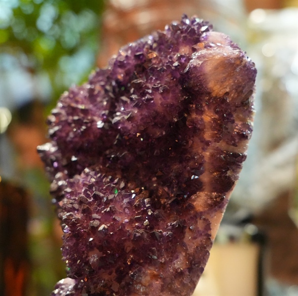 Hốc thạch anh tím to (s37) +