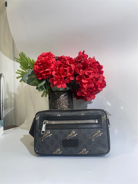 Túi gucci hộp hổ KG+