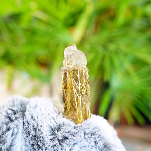 Ấn Tỳ hưu TV (s12) 556568 +