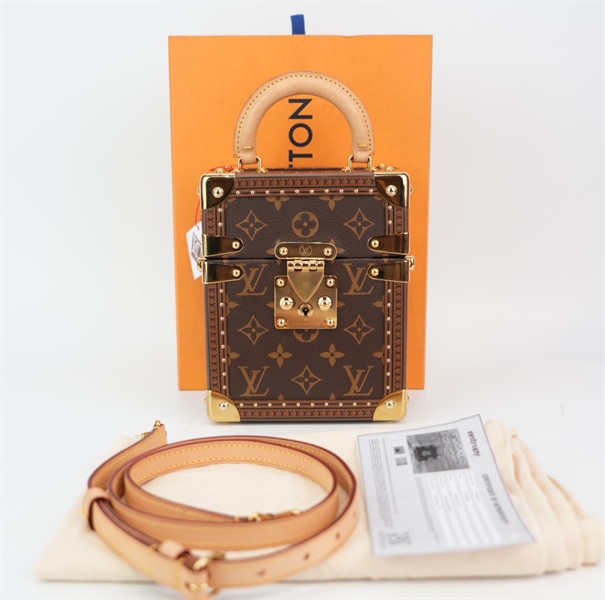 Túi LV trunk hoa nâu KG+