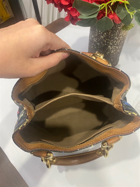 Túi LV nhiều màu +