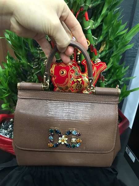 Túi Xách D&G Nâu+