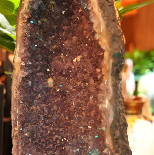 Hốc thạch anh tím to +