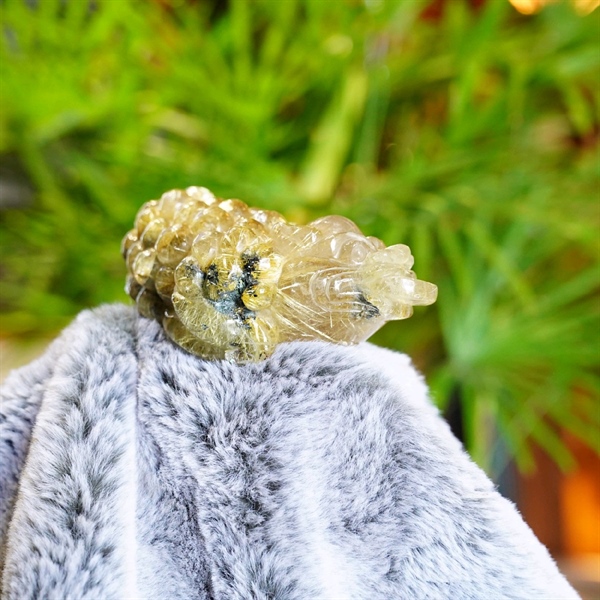 TP thiềm thử tóc vàng (s28)+