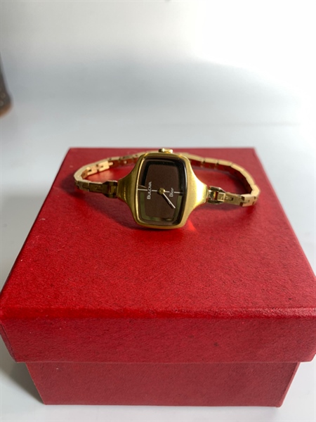 Đồng hồ Dior Bulova KG+