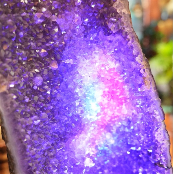 Hốc thạch anh tím to +