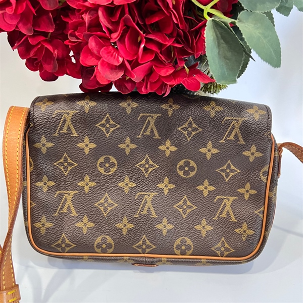 Túi LV nâu KG+