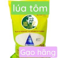 ST25 (Ông Cua) - Lúa Tôm - túi 5kg