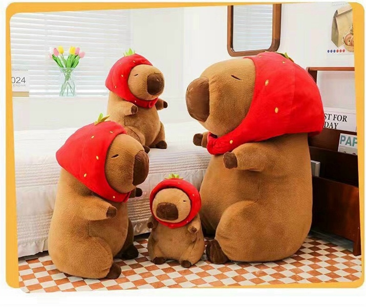 Chuột lang Capybara mũ Dâu